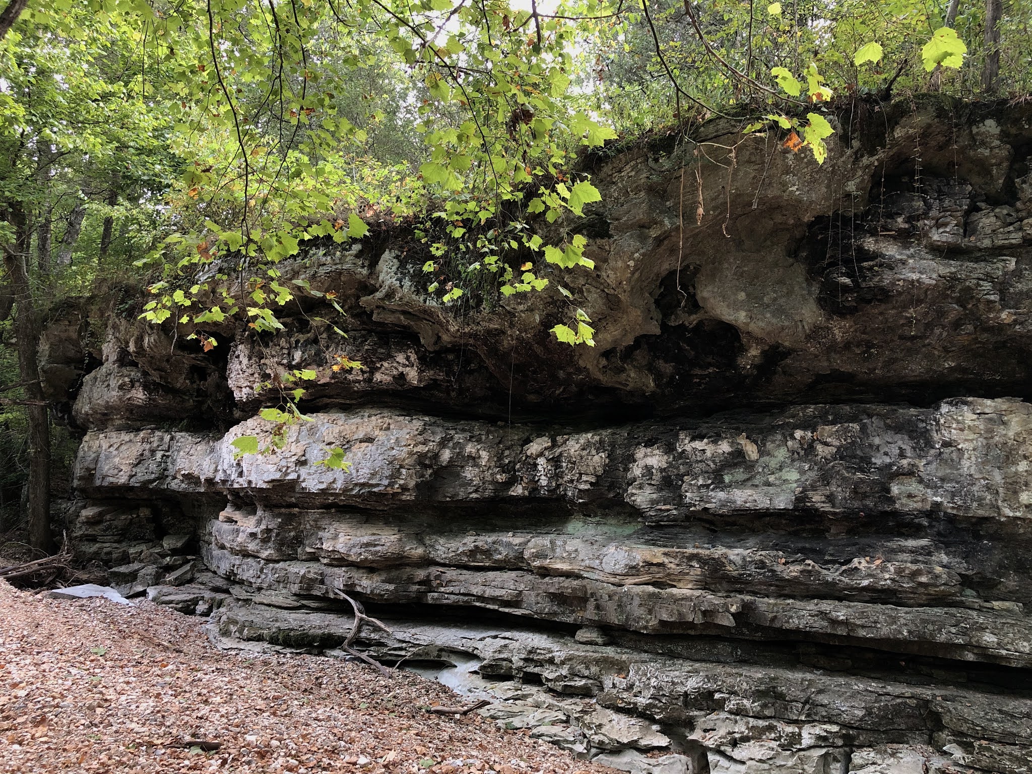 Tea Kettle Falls Trail, Huntsville, Arkansas