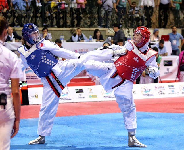 Taekwondo laplari