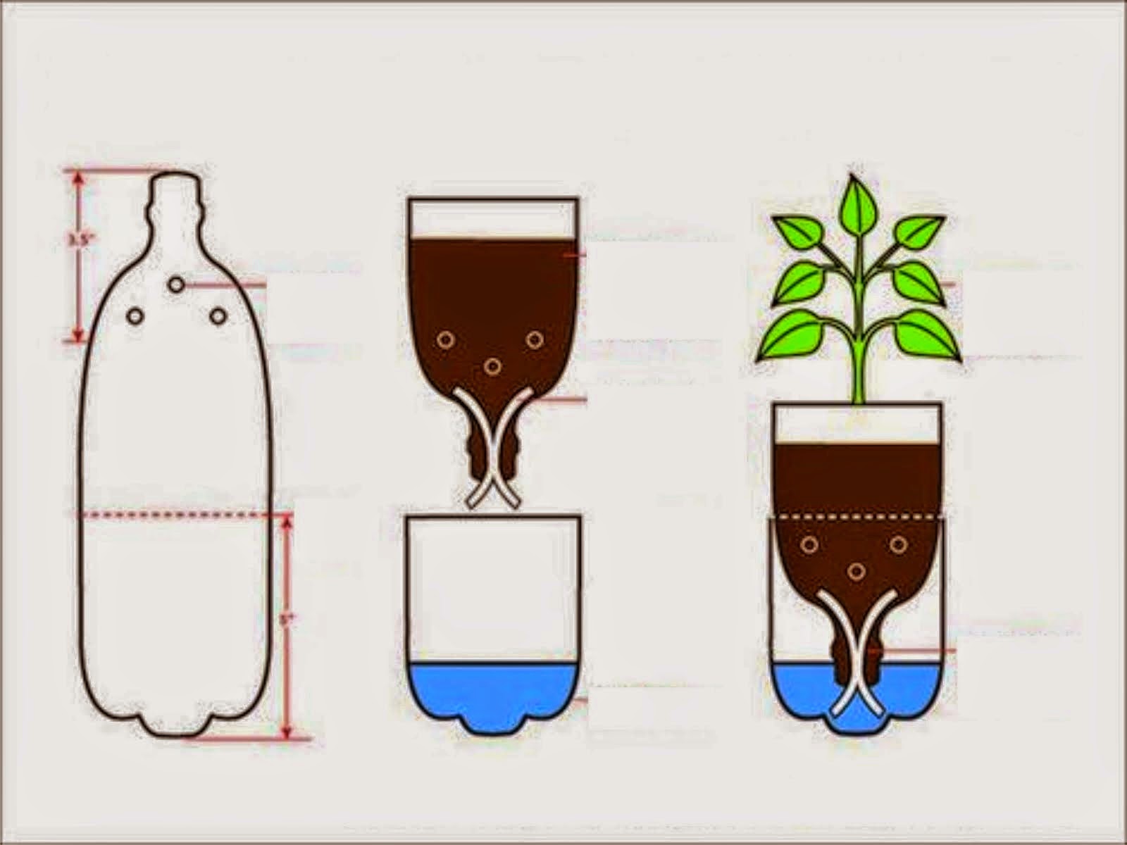  Planting Plants Hydroponics Simple  Special 
