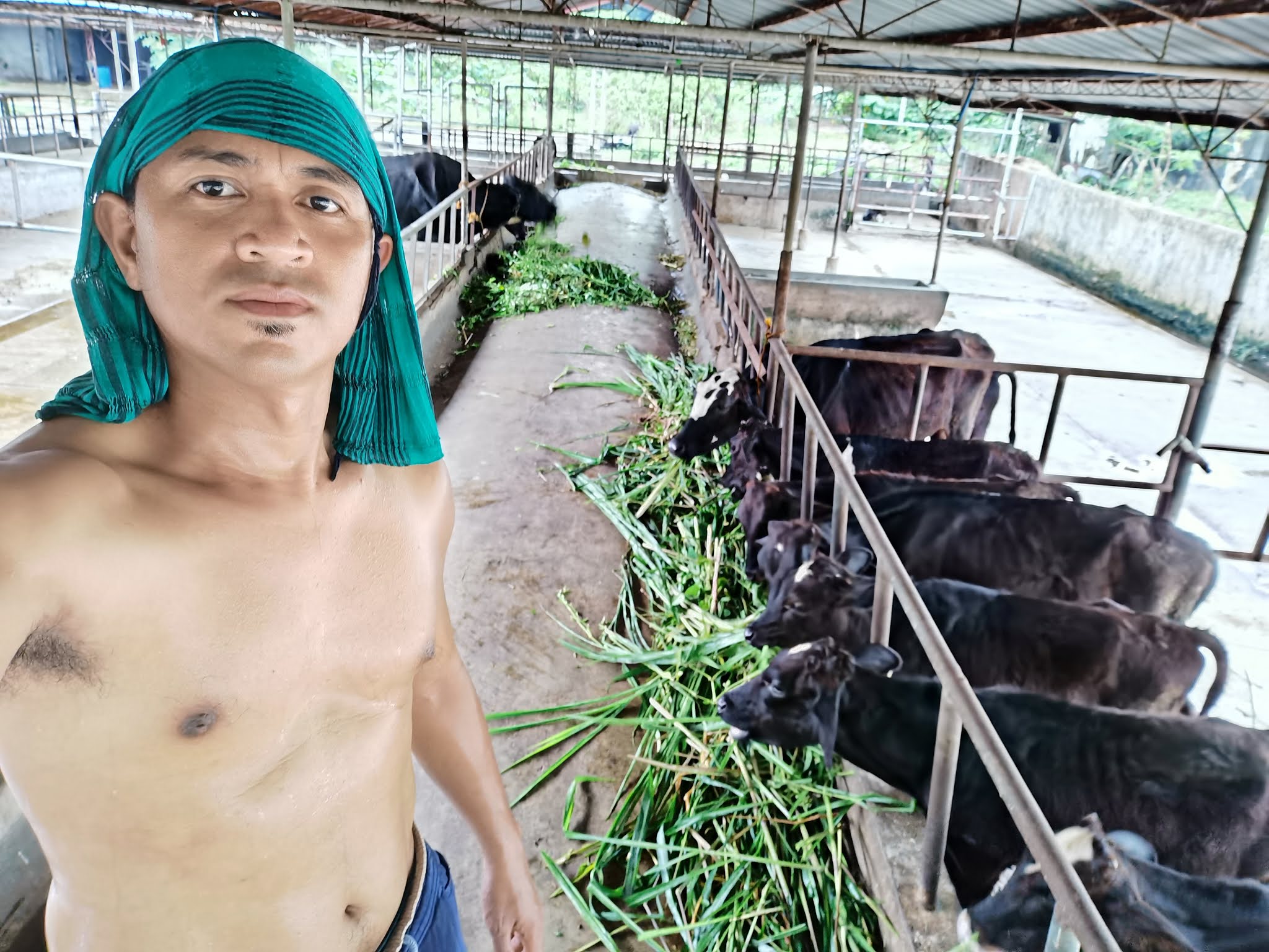 Dairy Farming Training sa Pilipinas TESDA Bulacan Agricultural Training Center Inc.