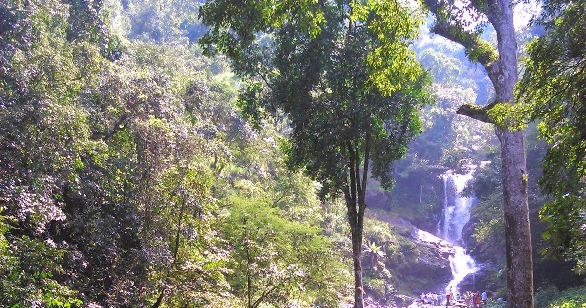 #trendsetters| One Day Trip To Thirunelli Maha Vishnu Temple| Tholpetty| Iruppu Falls| Makkoottam Ghats| 250 Kms