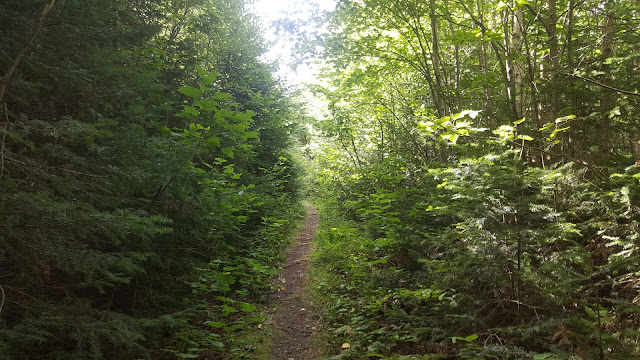 Sentier pour la montagne de la Grande Coulée