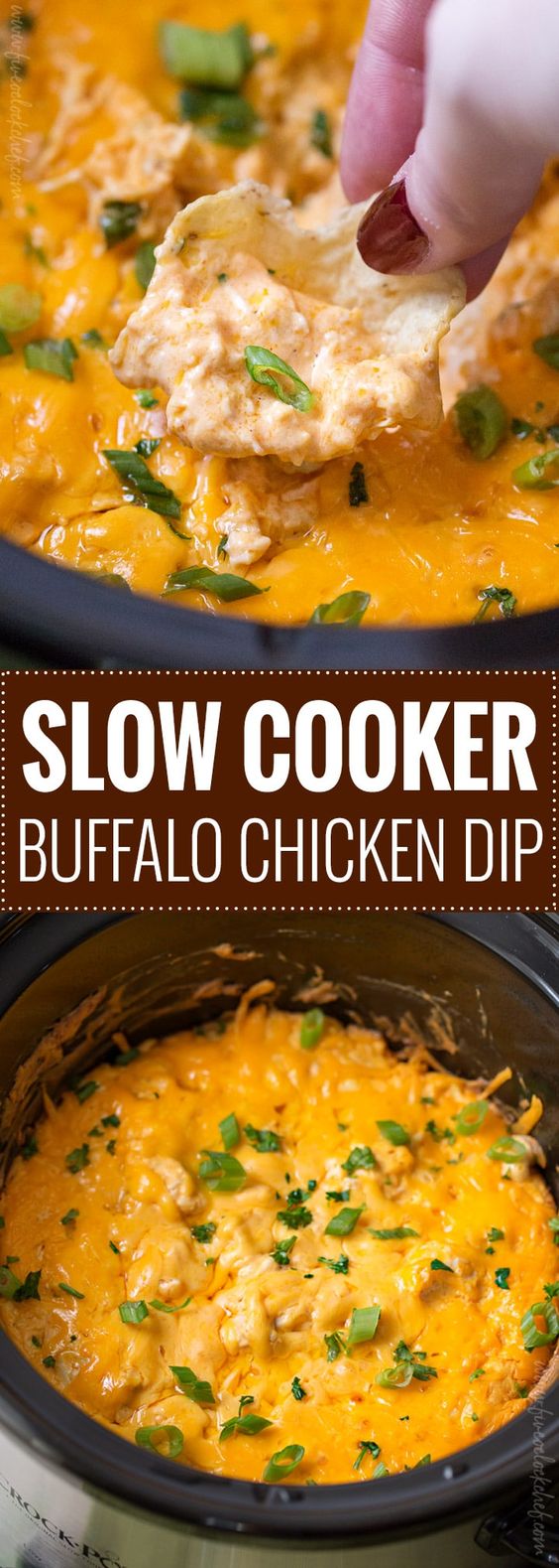 Slow Cooker Buffalo Chicken Dip Recipe