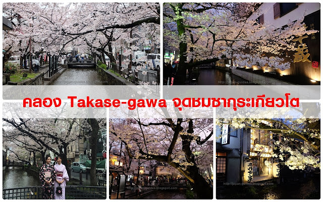 คลอง Takase-gawa ซากุระ เกียวโต