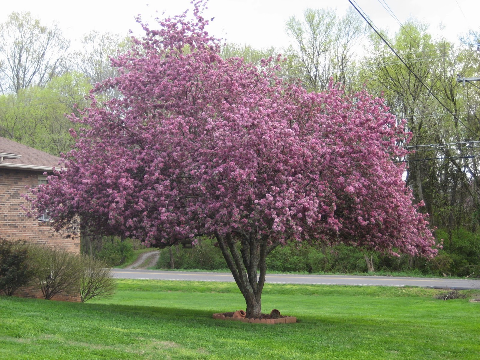 Valkyrie Adventure Spring In East Tennessee