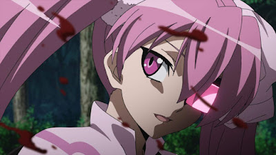 Akame Ga Kill Anime Series Image 2