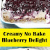 Creamy No Bake Blueberry Delight