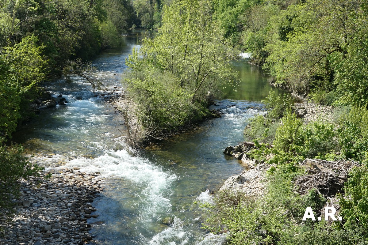 Photography. The Sella river as it passes through the town of Cangas de