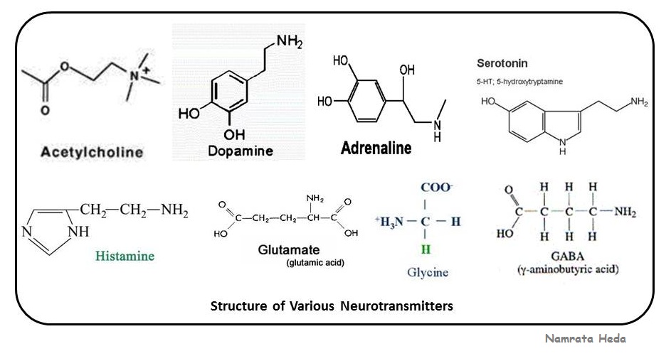 Нейромедиаторы амины. Химическая формула счастья. Серотонин дофамин ацетилхолин. Ацетилхолин гормон формула. Дофамин химическая формула тату.