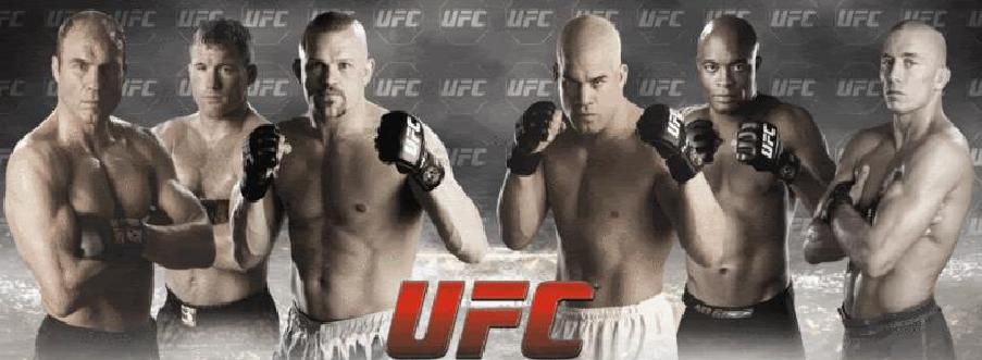 UFC Combat