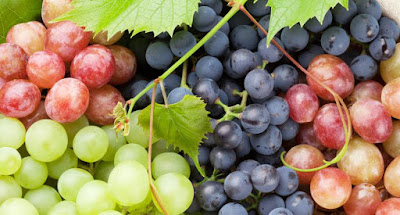 El consumo de uvas es un excelente antioxidante, conoce sus propiedades, beneficios y valor nutricional