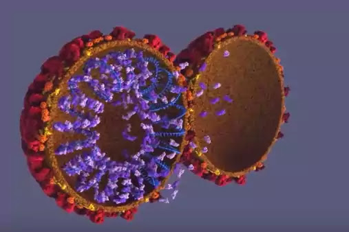 Coronavirus Update Coronavirus Update