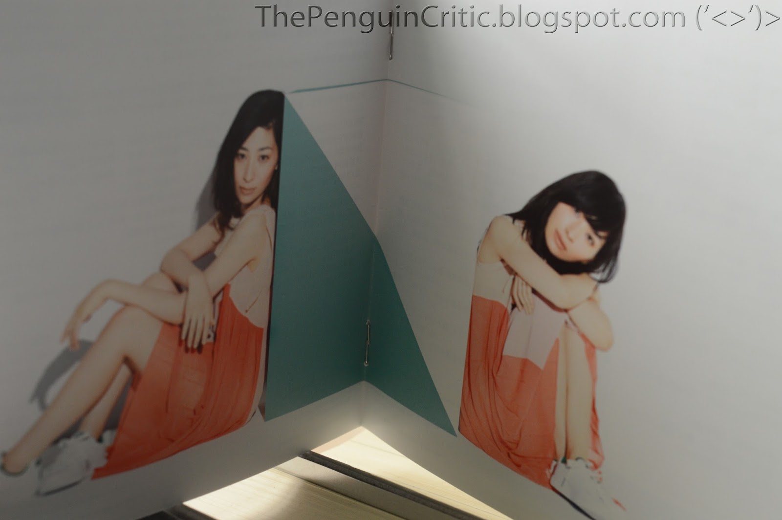 The Penguin Critic Sakamoto Maaya Follow Me Up Le First Bress External Bonus 09 30 15