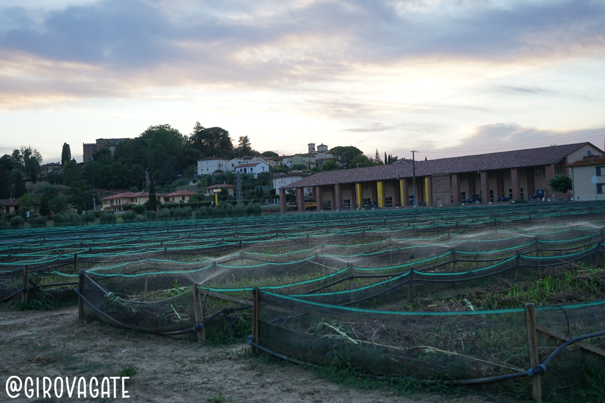 arcenni tuscany capannoli chiocciola