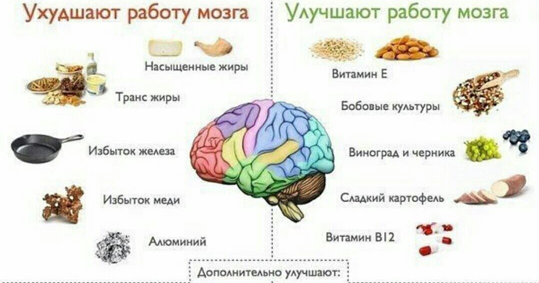 Продукты для улучшение мозга. Что есть для улучшения памяти и работы мозга. Продукты для мозговой активности и памяти. Продукты для улучшения памяти. Продукты для улучшения памяти и работы мозга.