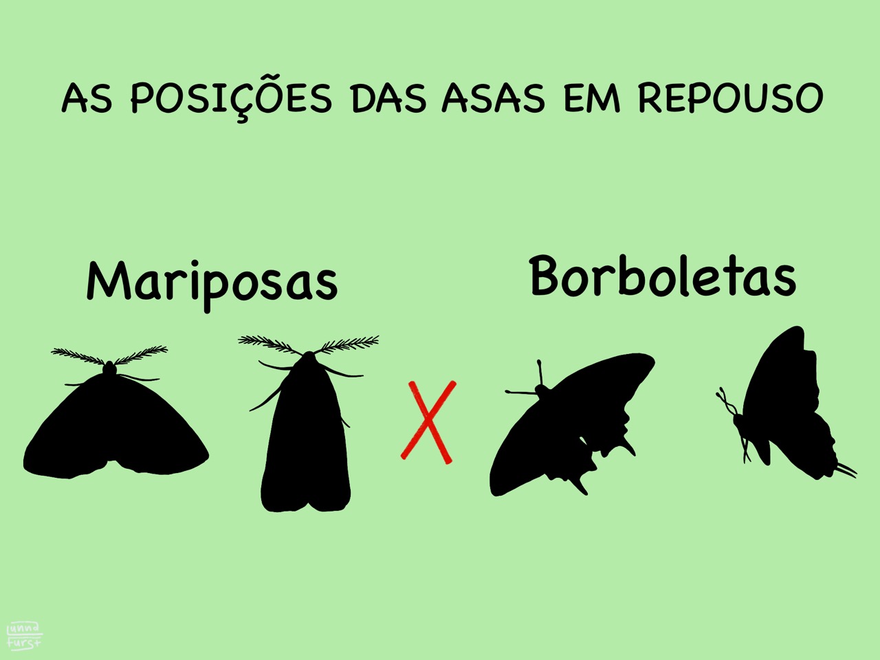 BIBOCA AMBIENTAL VOCÊ SABE A DIFERENÇA ENTRE BORBOLETA E MARIPOSA? BIBOCA AMBIENTAL VOCÊ SABE A DIFERENÇA ENTRE BORBOLETA E MARIPOSA?