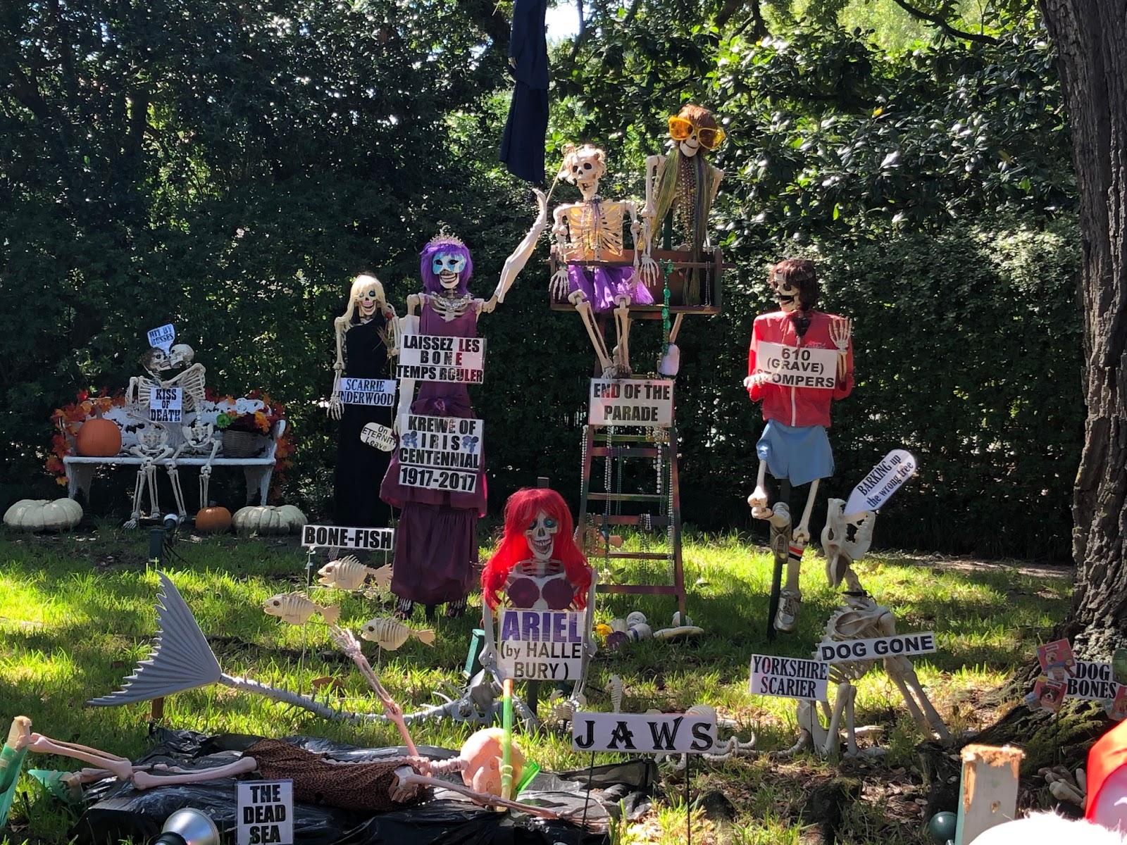 Hiking Pants Cristen Joy Photography