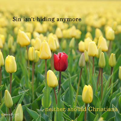 Sin isn't hiding any more. Neither should Christians.