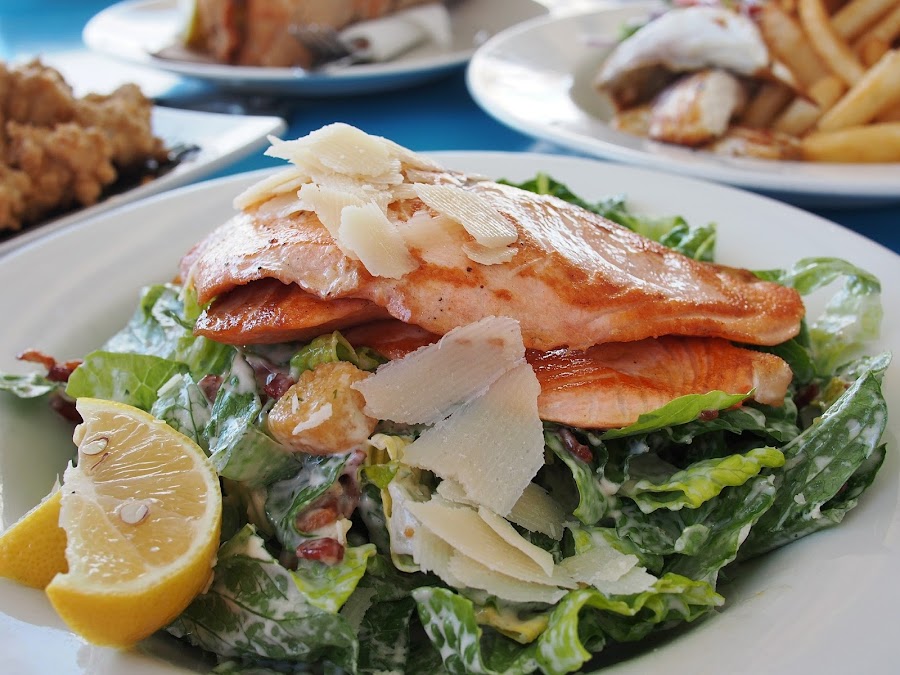 salmon