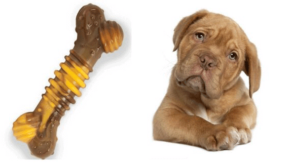 Can Dogs Eat Nylabone? Is Nylabone Safe For Dogs?