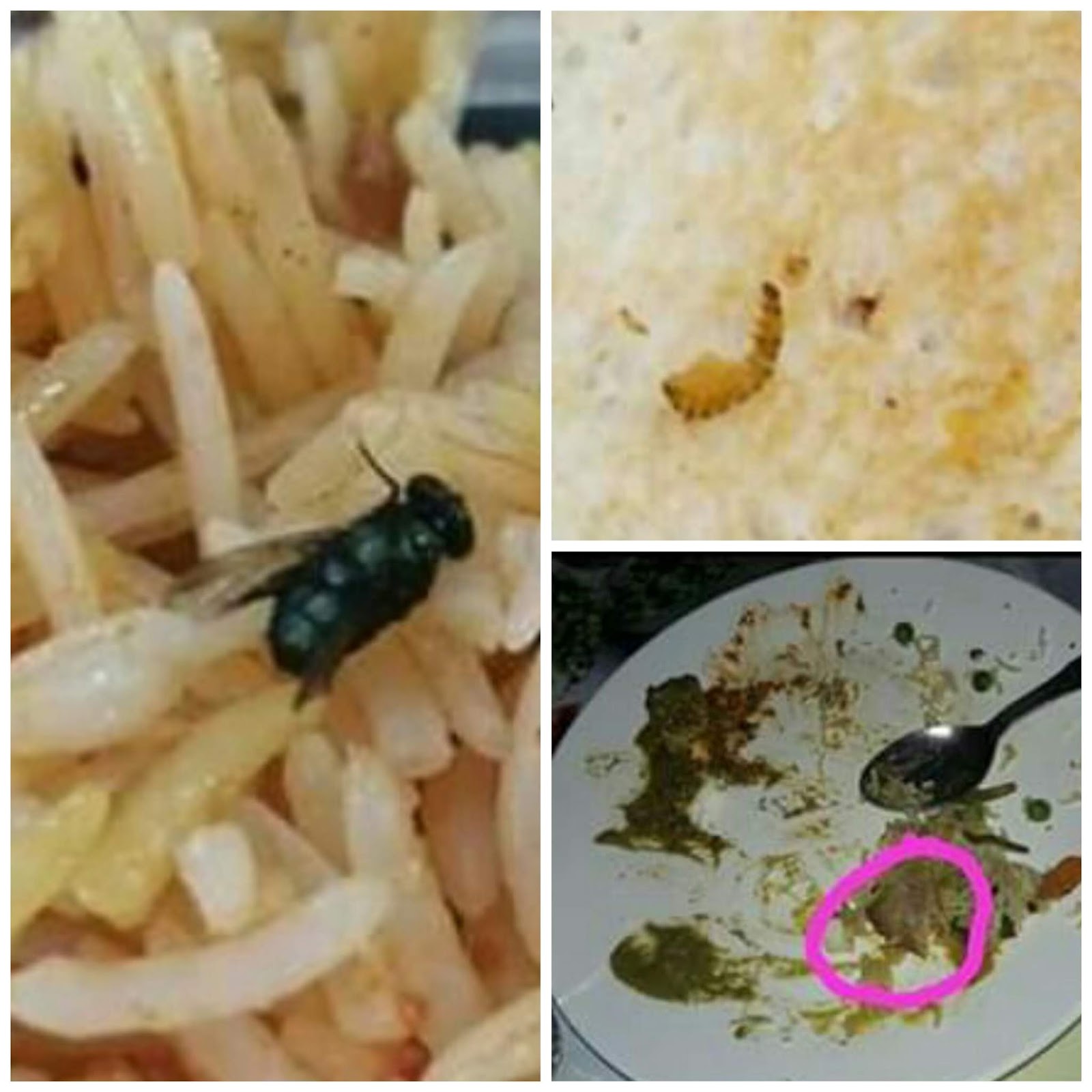 আইআইটি খড়গপুরে নিম্ন মানের খাবার, ক্রমশ গলা চড়াচ্ছে 'আওয়াজ' 2 আইআইটি খড়গপুরে নিম্ন মানের খাবার, ক্রমশ গলা চড়াচ্ছে 'আওয়াজ'