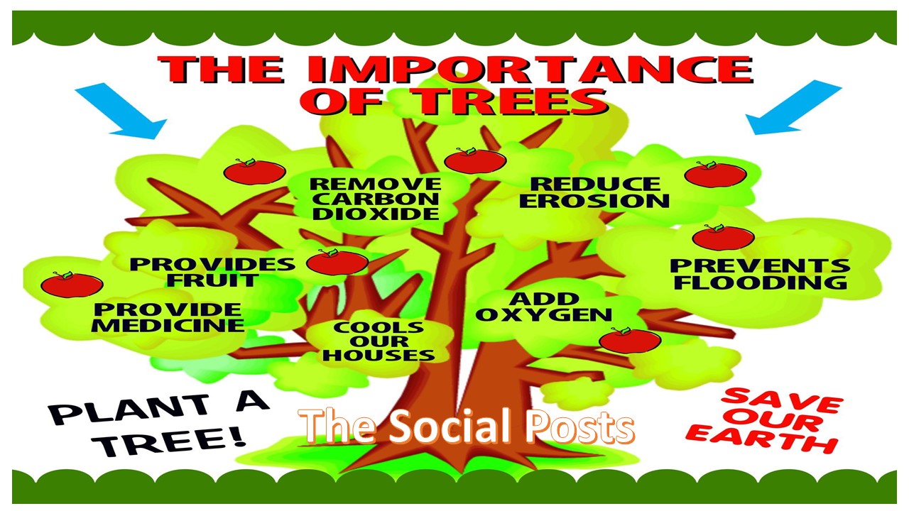 why is the tree of life important