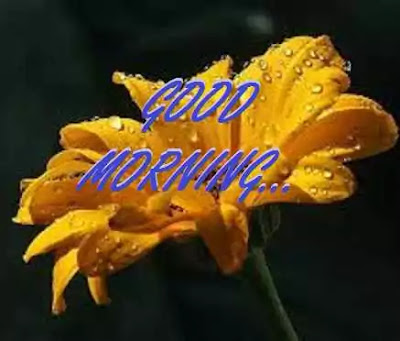 Good Morning Images Good Morning Images