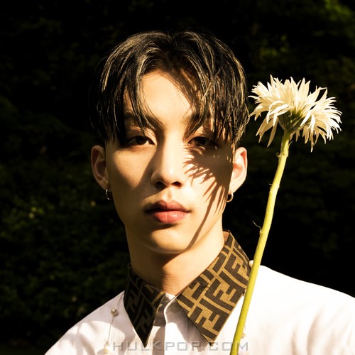 B.E.D. – POP YOUR BODY – Single