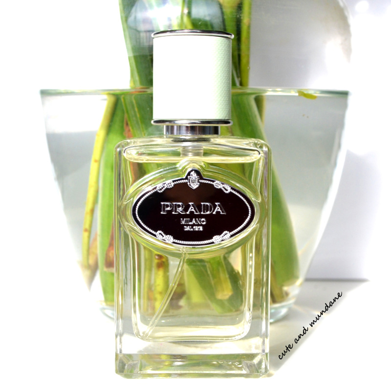 prada iris perfume review