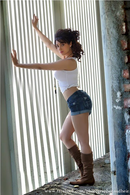 Actress Gurleen Chopra Latest Hot Photos Navel Queens