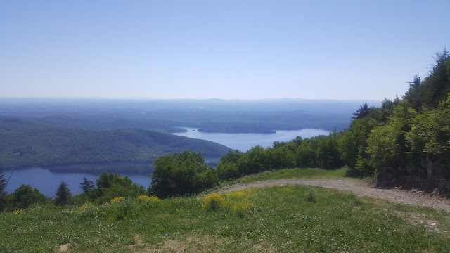 Point de vue à partir du sommet du mont Owls Head