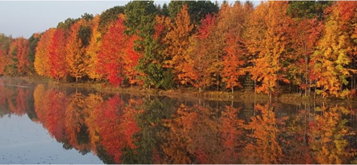 Pa Environment Digest Blog Dcnr Experts Offer Fall Foliage Tips For Residents Travelers
