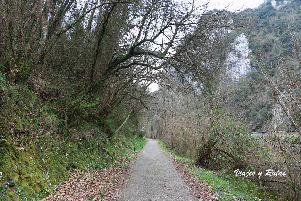 Senda del oso, Asturias