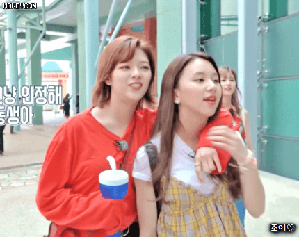 트와이스TV 9화 오몰또몰한 채영이가 넘모 좋은 채영맘 정연.gif | 인스티즈