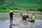 Les formes du voyage responsable au Vietnam