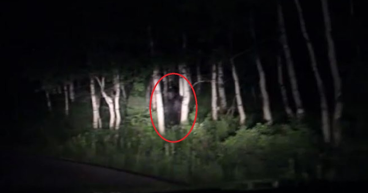 Bigfoot Researcher Utah Sasquatch Footage Examined
