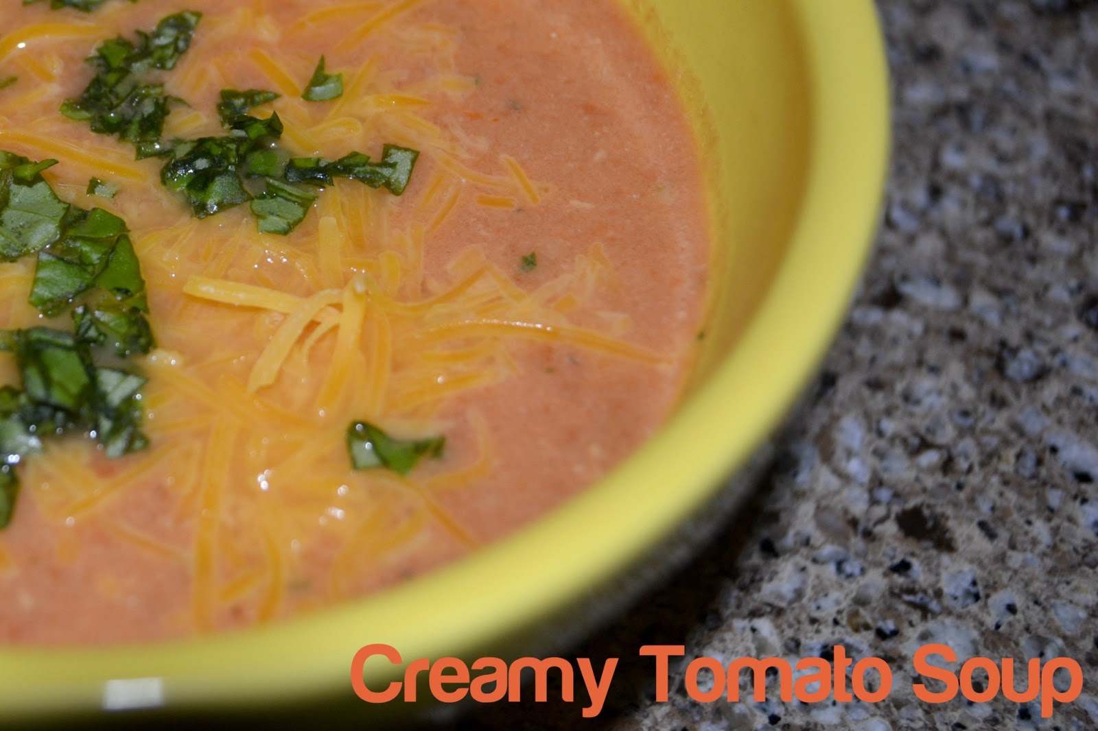 Your Little Birdie Creamy Tomato Soup with Greek Yogurt