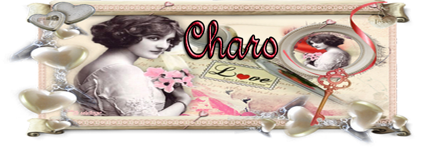El  Blog  de  Charo