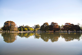 Los bosques de Palermo cuentan con un inventario estimado de 15.000 árboles.