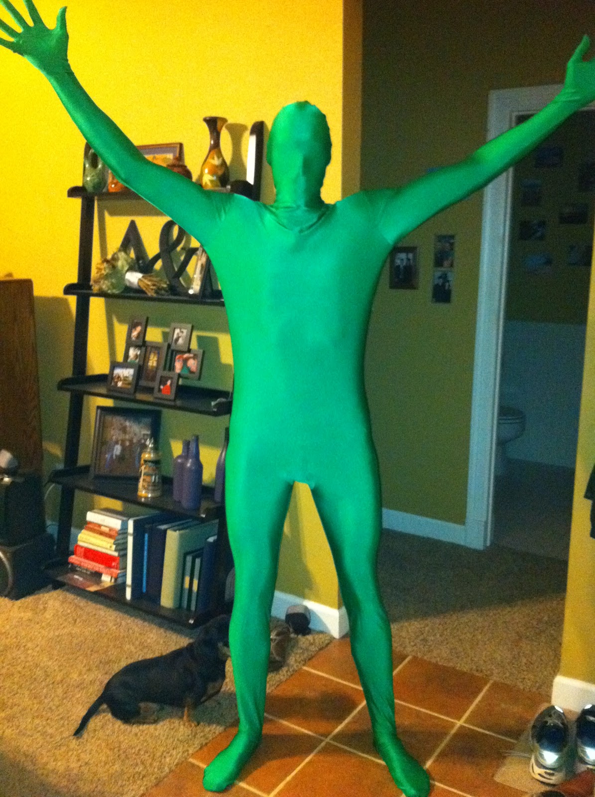 The Wooster Roost Halloween Homemade Kermit Costume