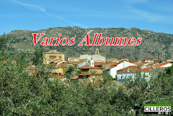 VARIOS ÁLBUMES VIII