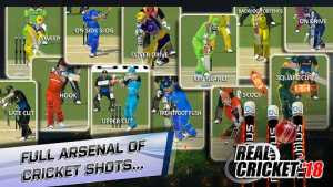 Real Cricket 3D 18 MOD APK+Data Real Cricket 3D 18 MOD APK+Data
