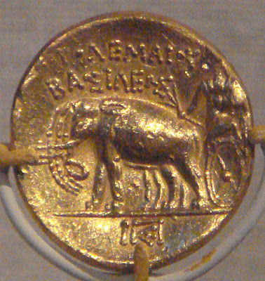Ptolemaios dönemine ait altın sikkede fil.