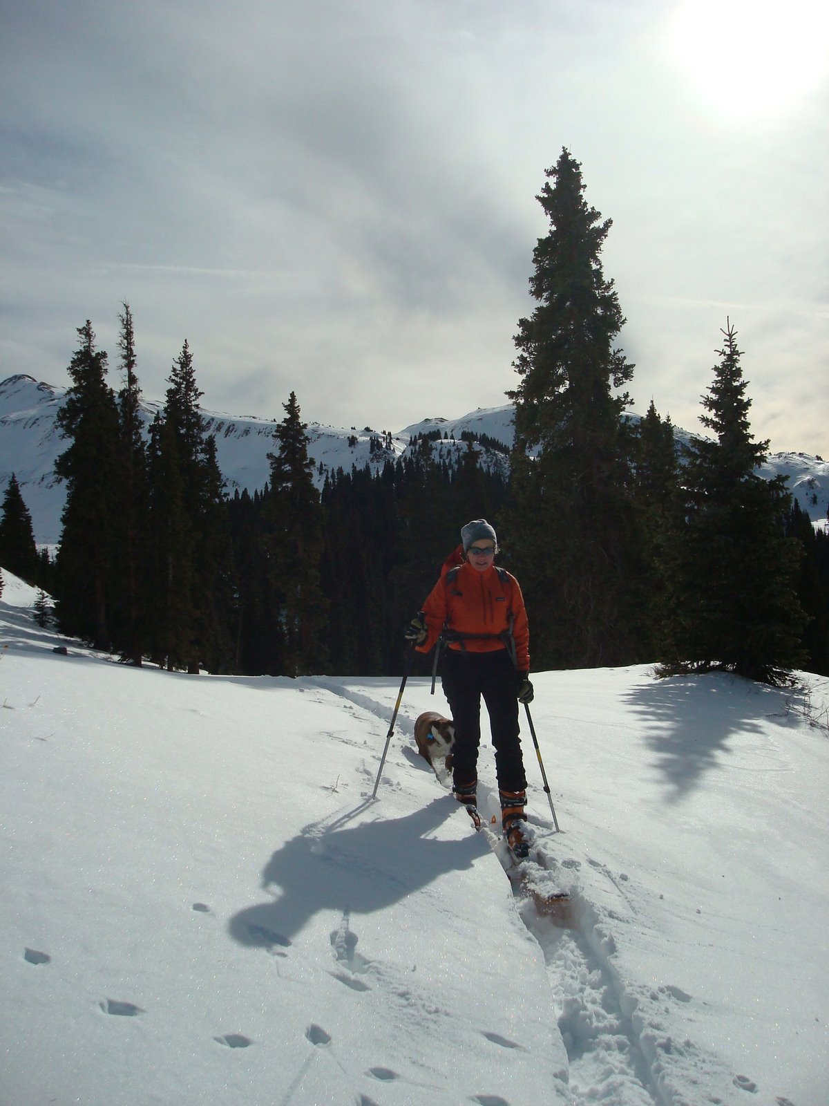 Ouray Ice Climbing Skiing Red Mountain Pass