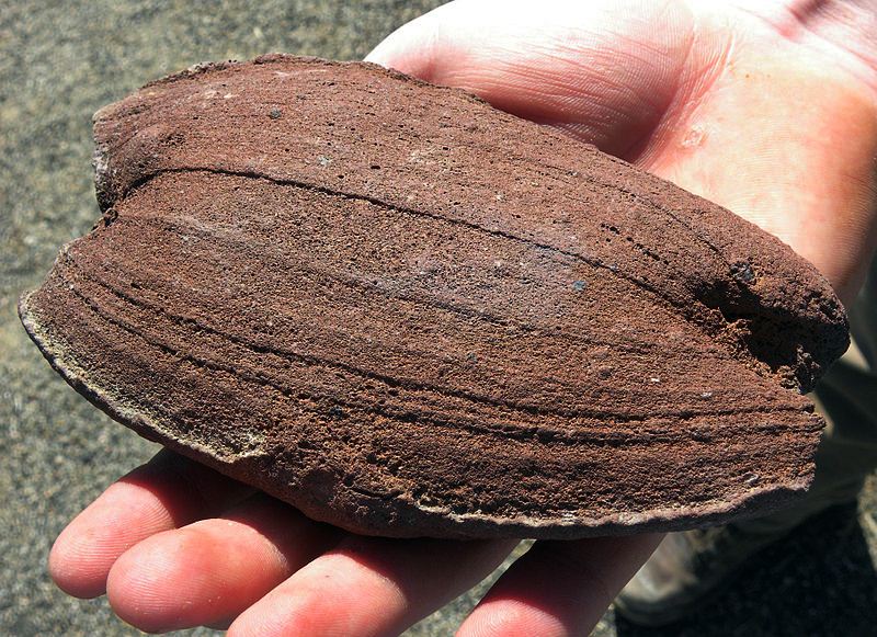 Volcanic Bombs Geology In