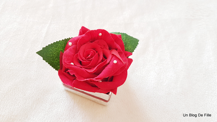 100 Couleur Des Roses Couleur Rose 4 Le Blog De