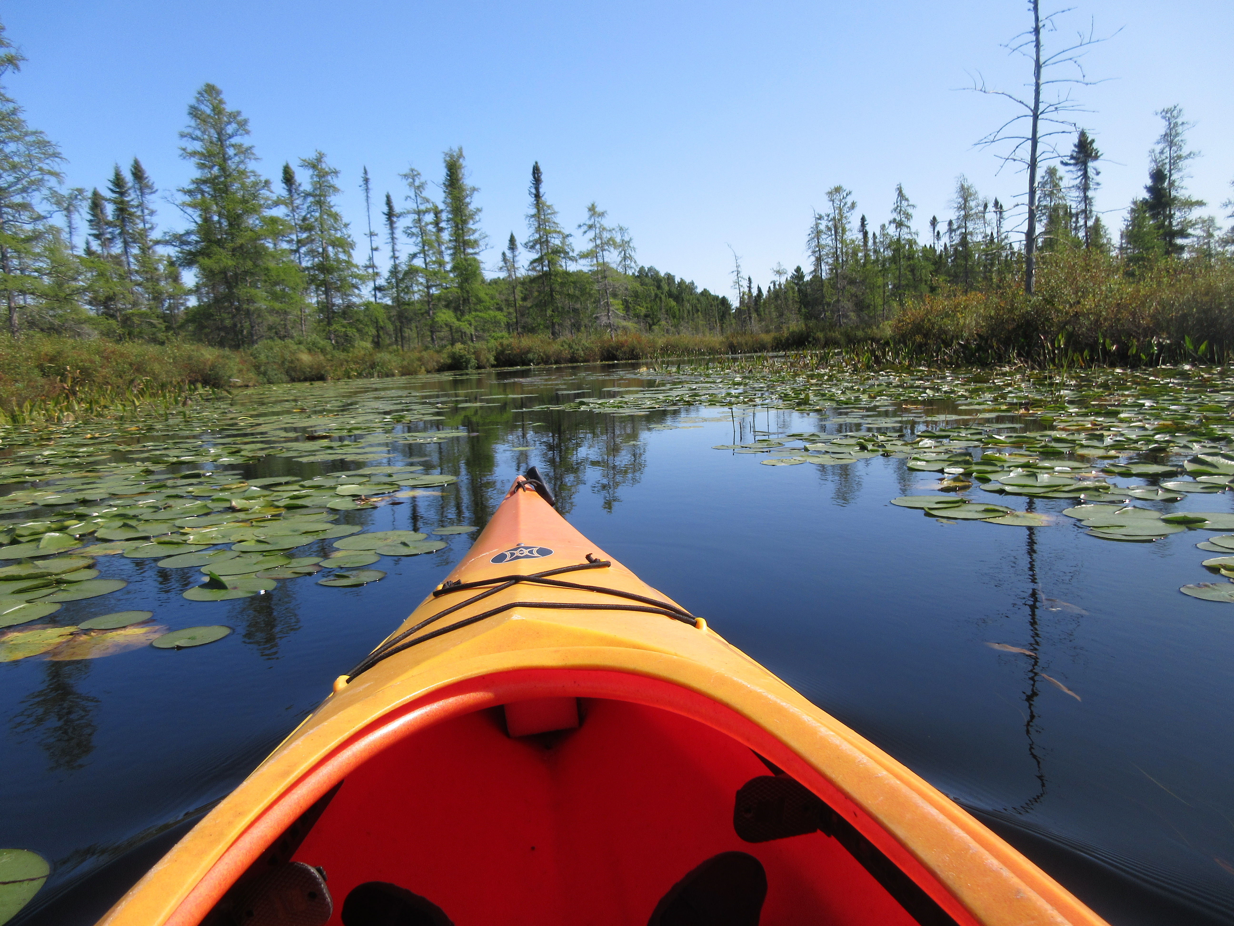 Dave's Yak Tales Lake Tomahawk, Saturday