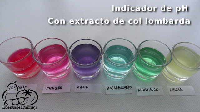 resultados ph en casa