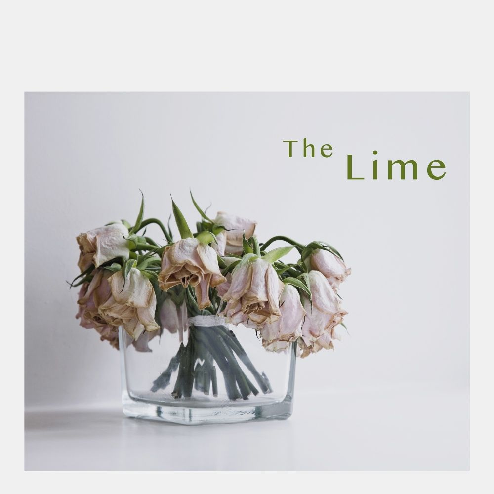 The Lime – Break Up – Single