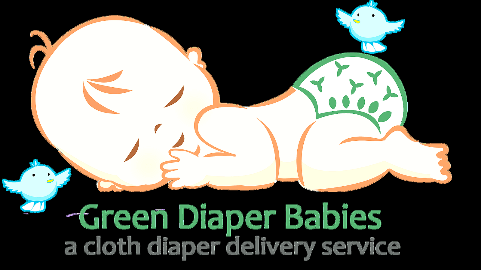 Diaper Delivery Services Diaper Choices